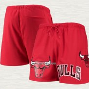Pantalone Chicago Bulls Pro Standard Mesh Capsule Rojo